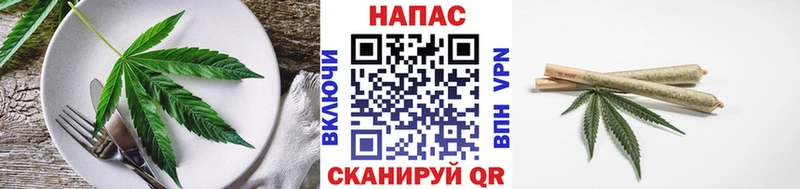 Купить  Балтийск  Cannafood конопля 