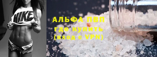 spice Каменногорск