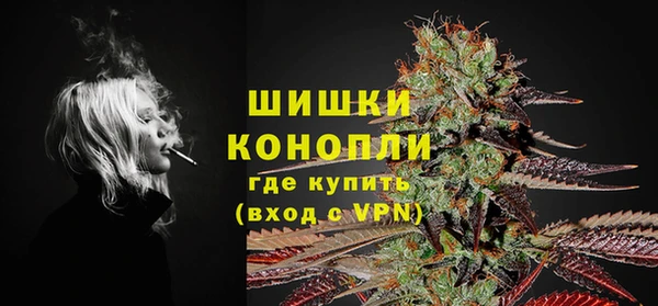 spice Каменногорск