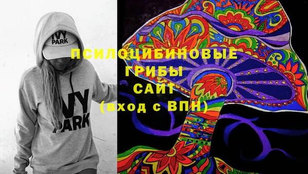 spice Каменногорск