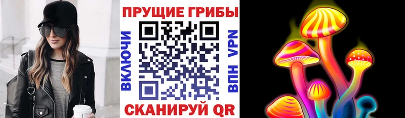 Псилоцибиновые грибы Psilocybine cubensis  Купить закладки  Балтийск 